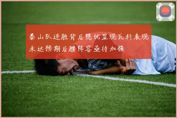 泰山队连胜背后隐忧显现瓦科表现未达预期后腰阵容亟待加强